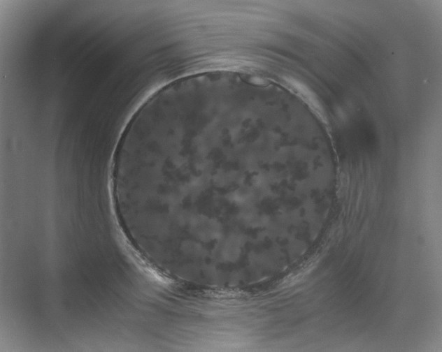 X0000075840899200609151301