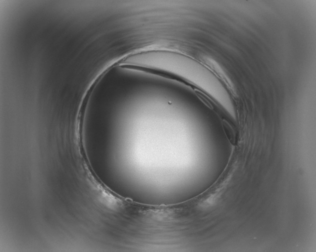 X0000075840900200609151301