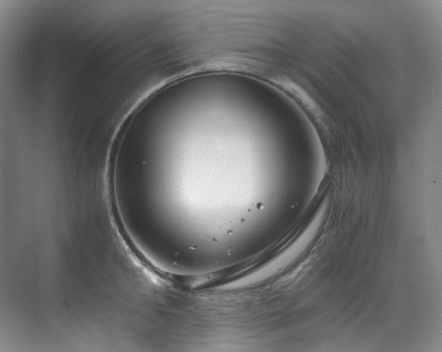 X0000075840902200609151301