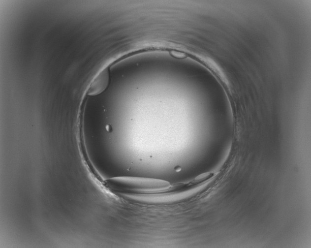 X0000075840903200609151301