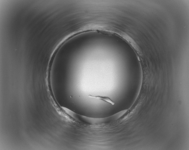 X0000075840904200609151301