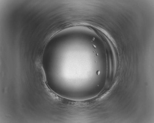 X0000075840905200609151301