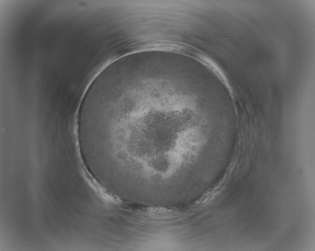 X0000075840907200609151301