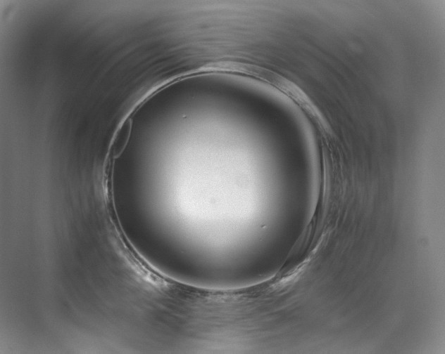 X0000075840908200609151301