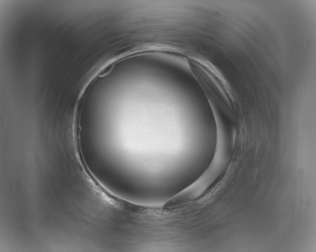 X0000075840910200609151301