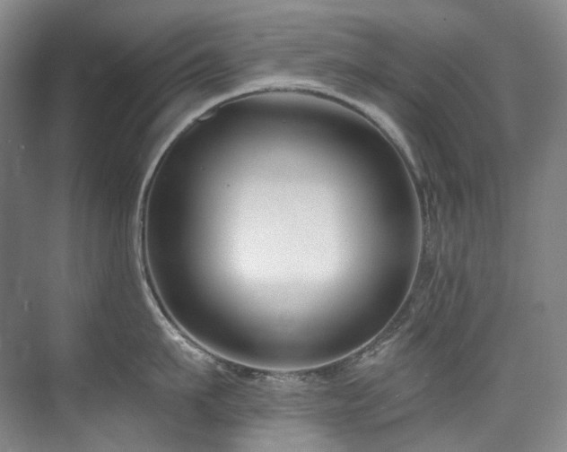 X0000075840911200609151301