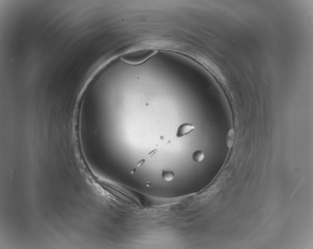 X0000075840912200609151301