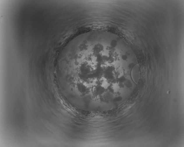 X0000075840913200609151300