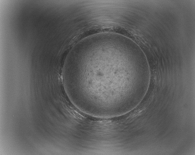 X0000075840916200609151300