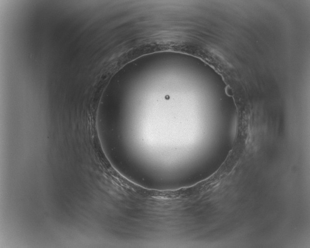 X0000075840917200609151300