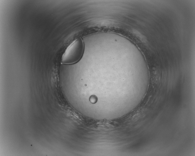 X0000075840918200609151300