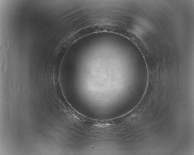 X0000075840919200609151300