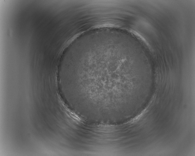 X0000075840921200609151300