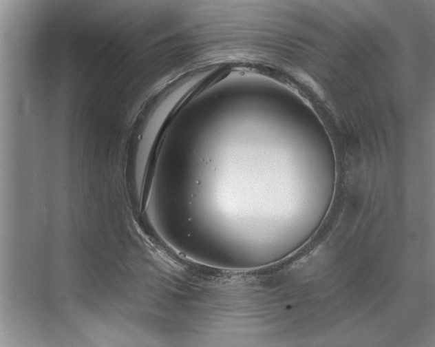 X0000075840922200609151300