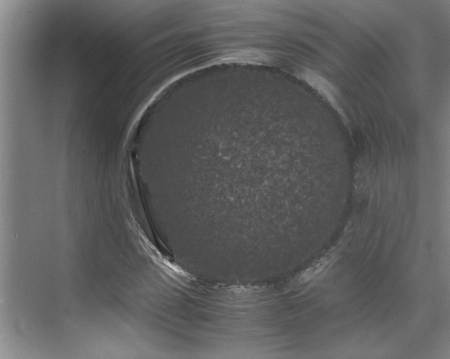 X0000075840923200609151300