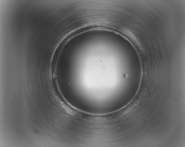 X0000075840924200609151300