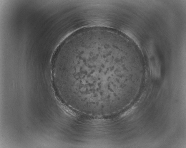 X0000075840925200609151300