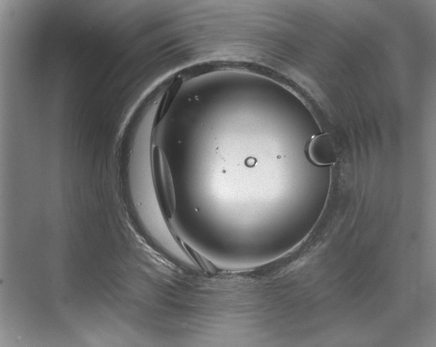 X0000075840926200609151300