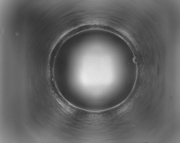 X0000075840927200609151300