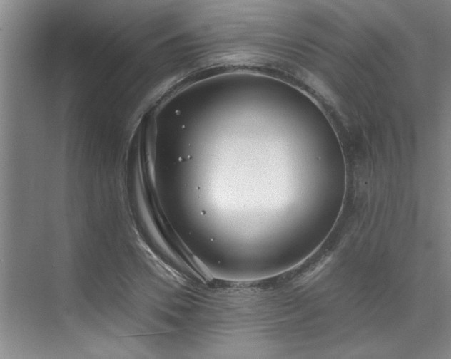 X0000075840930200609151300