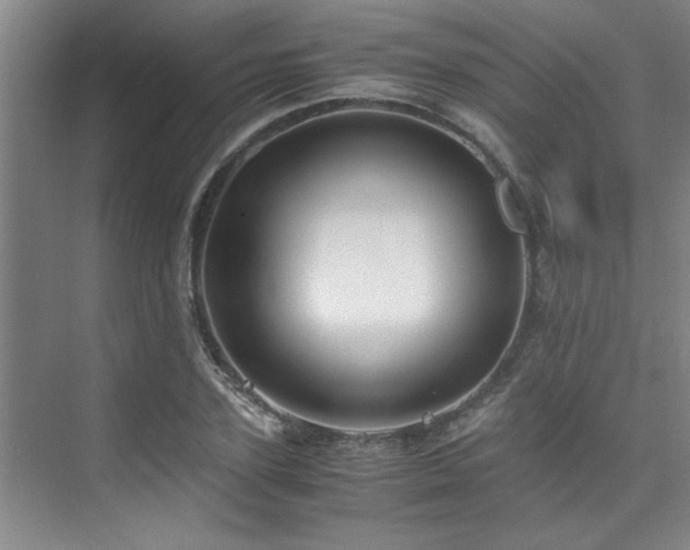 X0000075840931200609151300