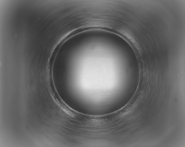 X0000075840933200609151301