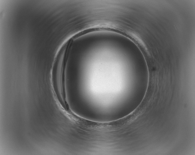 X0000075840936200609151301