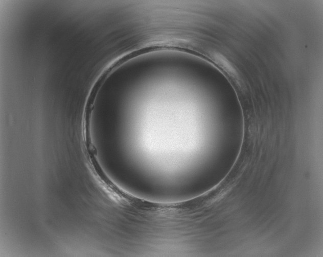 X0000075840940200609151301