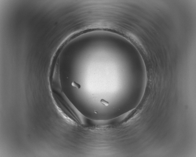 X0000075840942200609151301