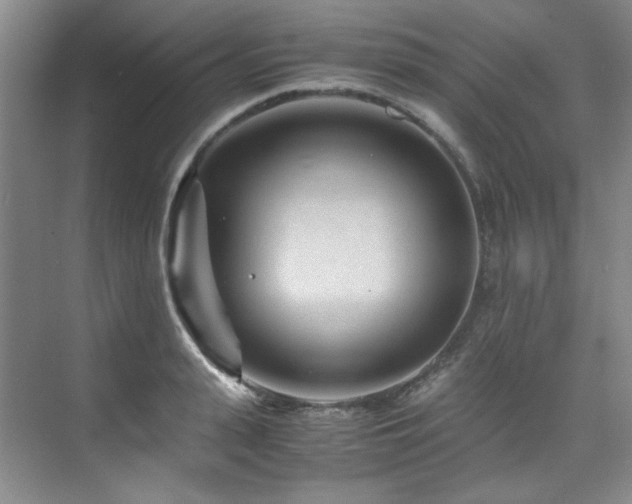 X0000075840943200609151301