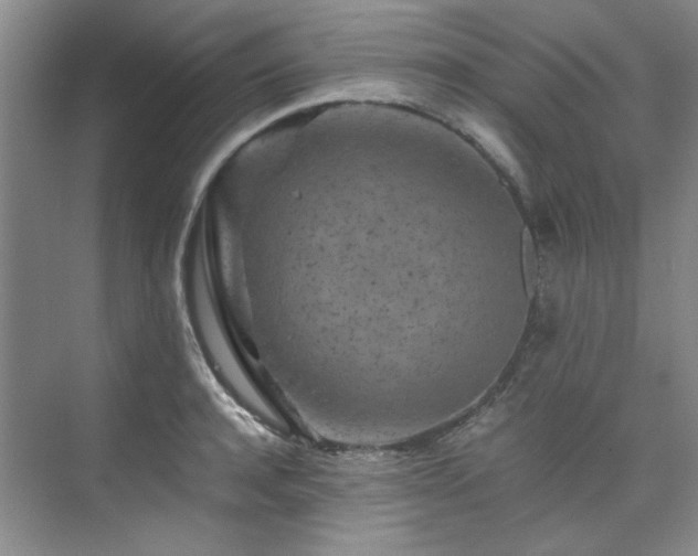 X0000075840944200609151301