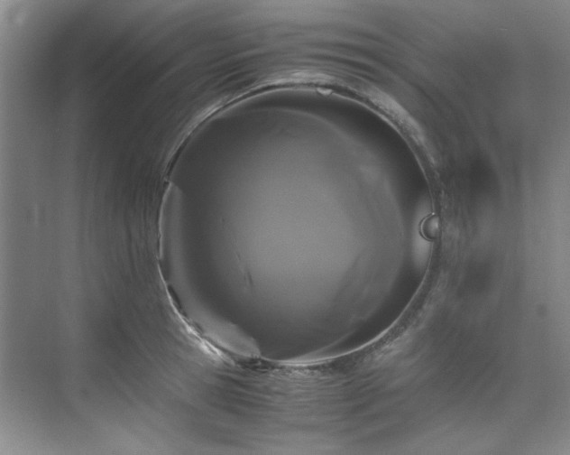 X0000075840945200609151301