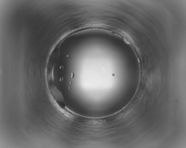 X0000075840947200609151301