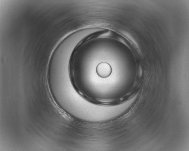 X0000075840948200609151301