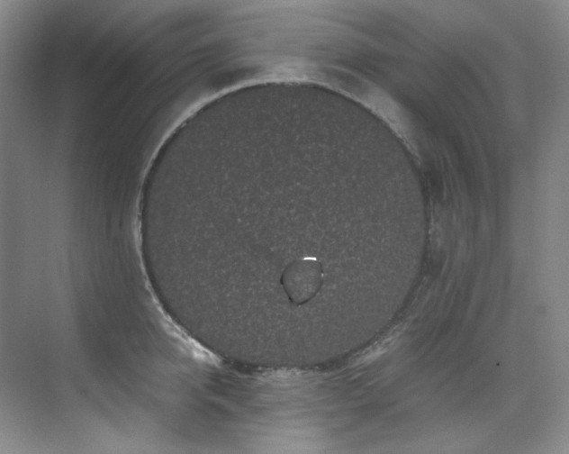 X0000075840950200609151301