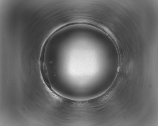 X0000075840951200609151301