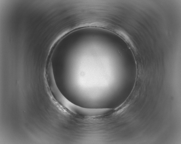 X0000075840952200609151301