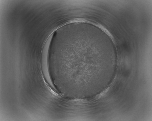 X0000075840953200609151301