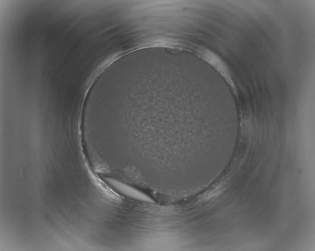 X0000075840954200609151301