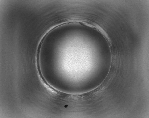 X0000075840955200609151301