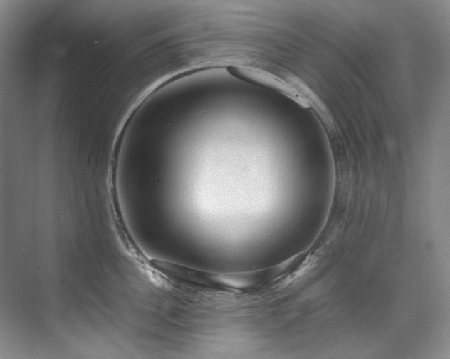 X0000075840956200609151301