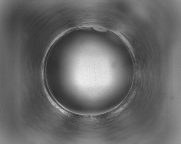 X0000075840957200609151301