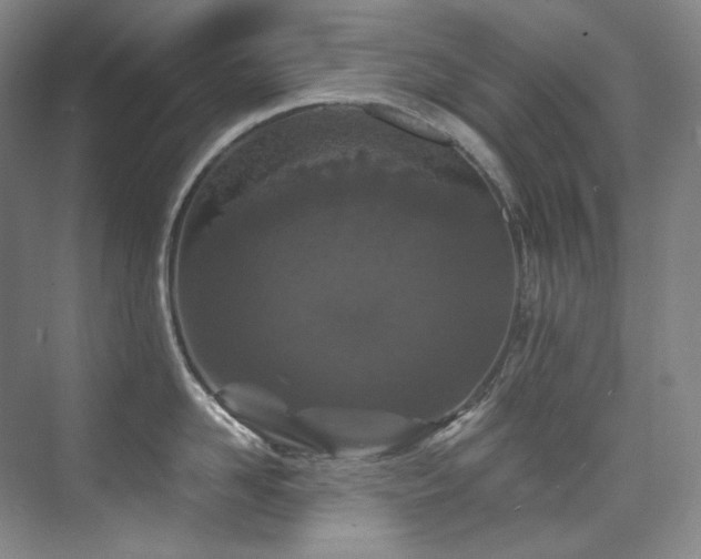 X0000075840958200609151301