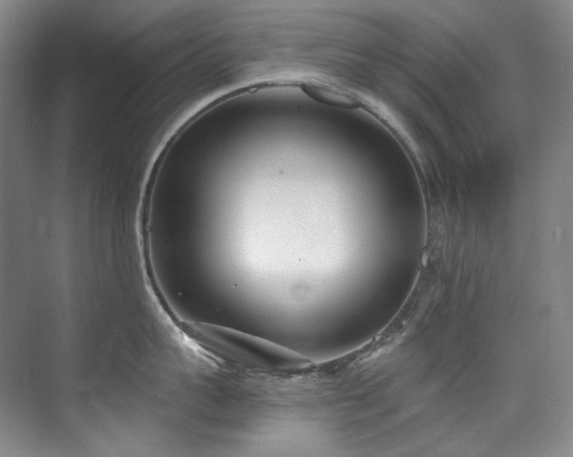 X0000075840959200609151301