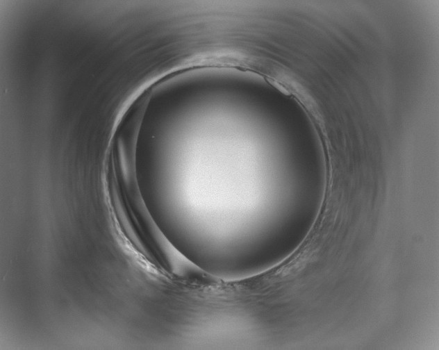 X0000075840960200609151301