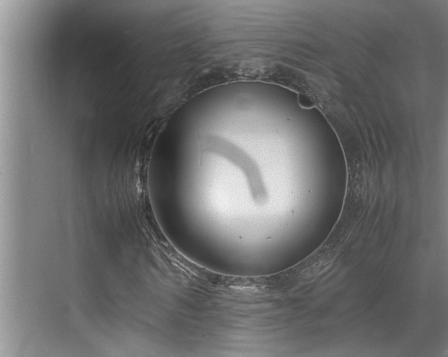 X0000075840962200609151300