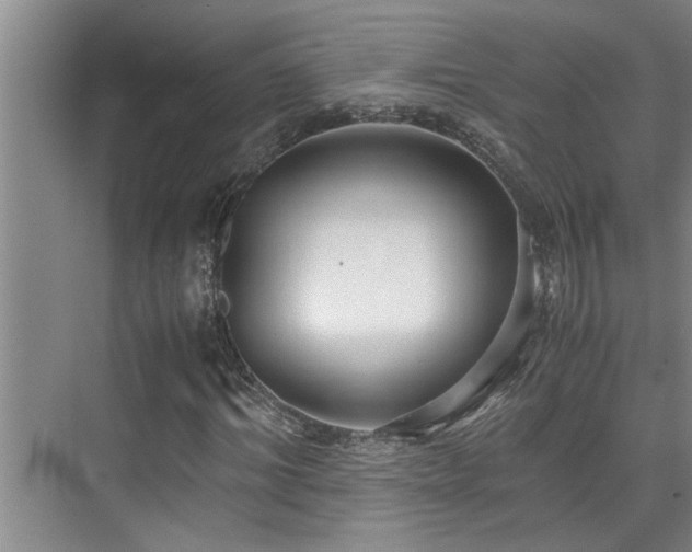 X0000075840964200609151300