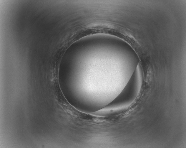 X0000075840965200609151300