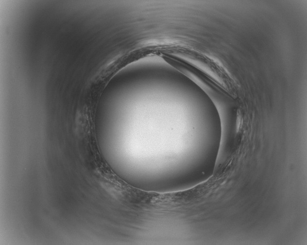 X0000075840967200609151300