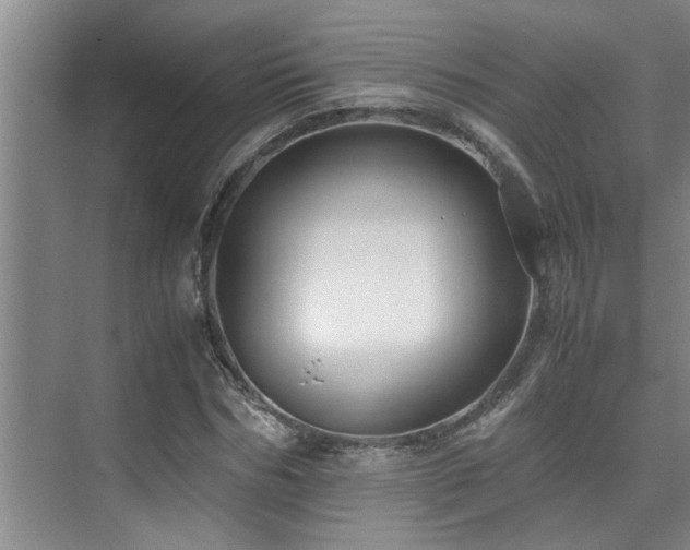 X0000075840970200609151300